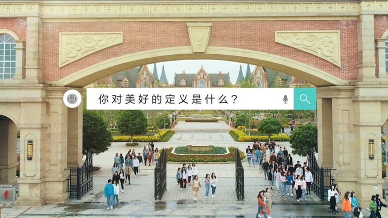 品牌策划定制服务与标准化服务：本质区别与选择要点