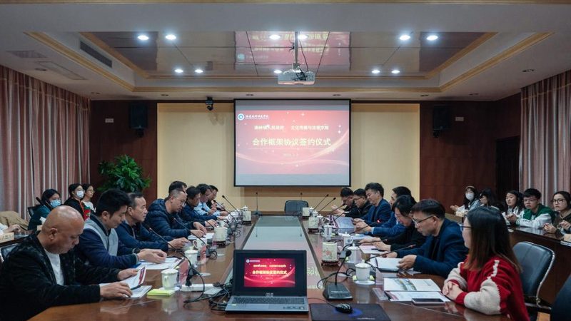 MG动画在医疗行业的应用潜力解析**